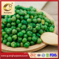 Wholesale Crispy and Best Taste Green Beans